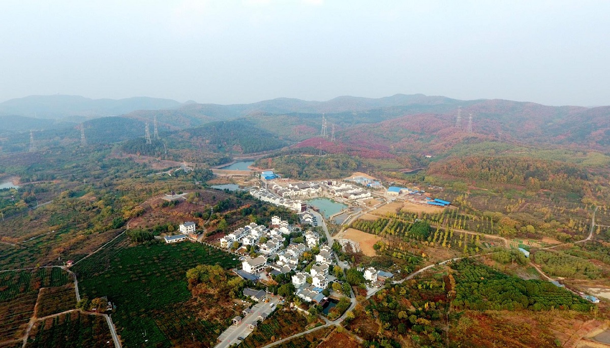 南京大学现场教学溧水区傅家边农业科技园